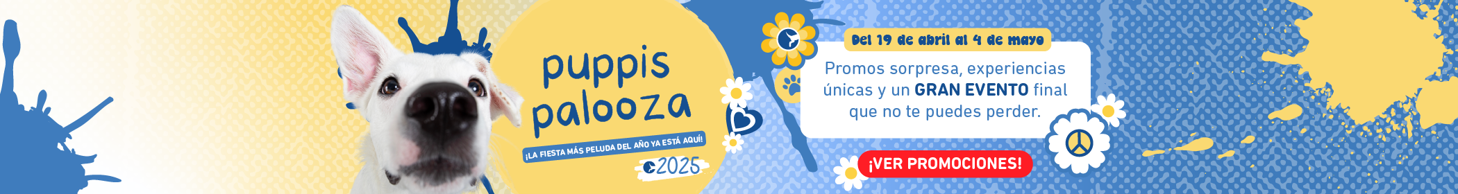 Banner Home Desktop Evento